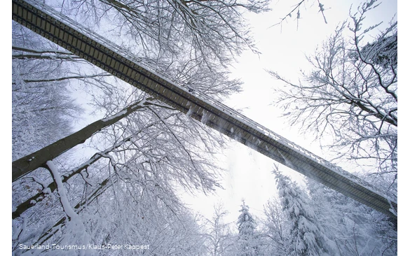 Hängebrücke am Rothaarsteig im Schnee