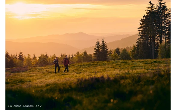 Zwei Wandernde in der Abendsonne in der Niedersfelder Hochheide auf dem Rothaarsteig