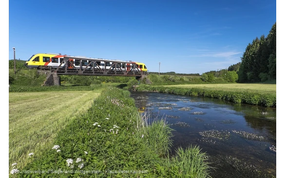 Bahn fährt über einen Fluss durch grüne Landschaft