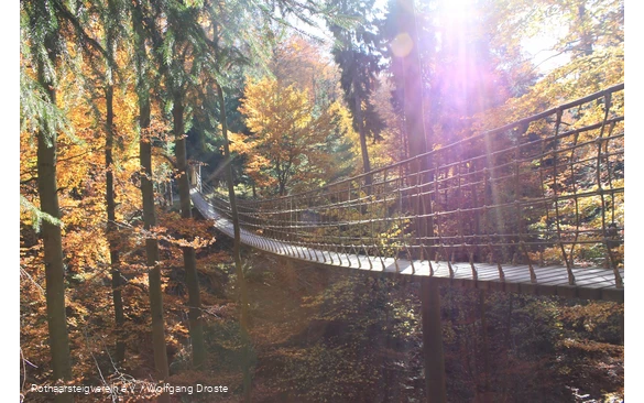 Hängebrücke am Rothaarsteig im Herbst