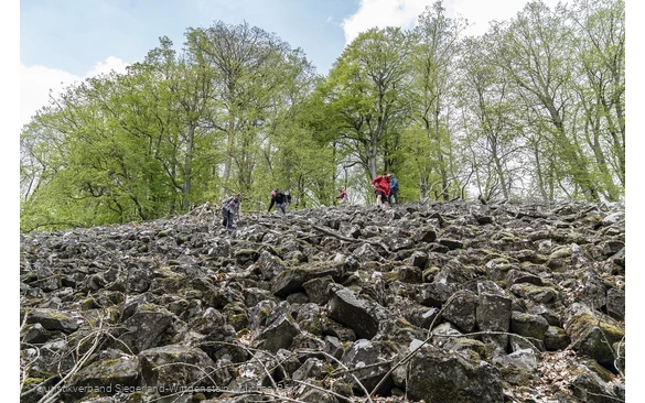 Naturschutzgebiet Großer Stein an der Rothaarsteig-Spur Romantischer Hickengrund