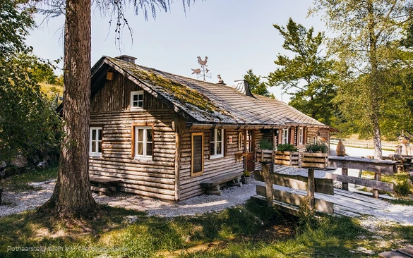 Hiebammen Hütte am Rothaarsteig im Sommer