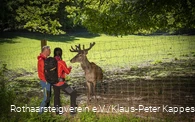 Zwei Wanderer füttern einen Hirsch im Tierpark Donsbach