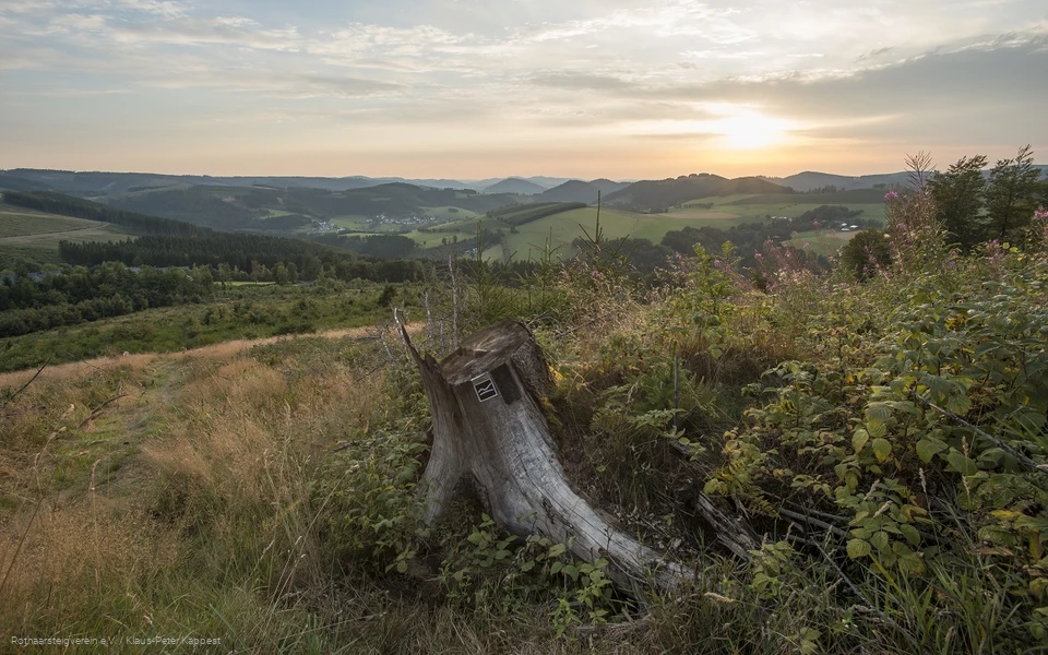 Aussicht von der Rothaarsteig-Spur Kahler Asten-Steig