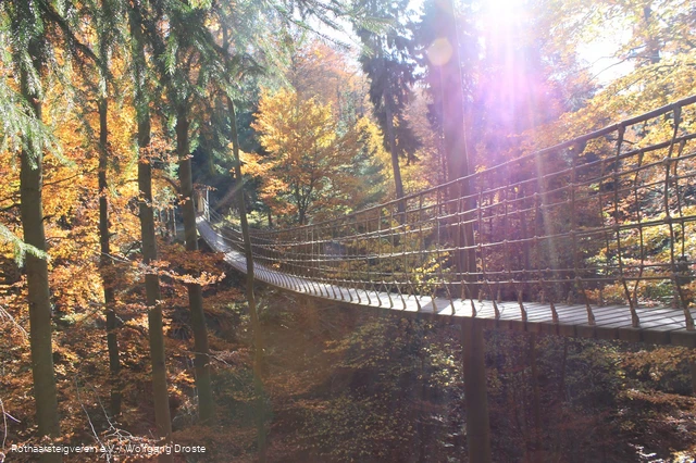 Hängebrücke am Rothaarsteig im Herbst